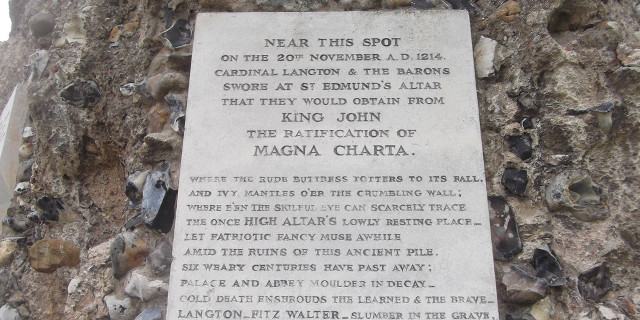 Homepage article image