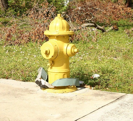 Homepage article image