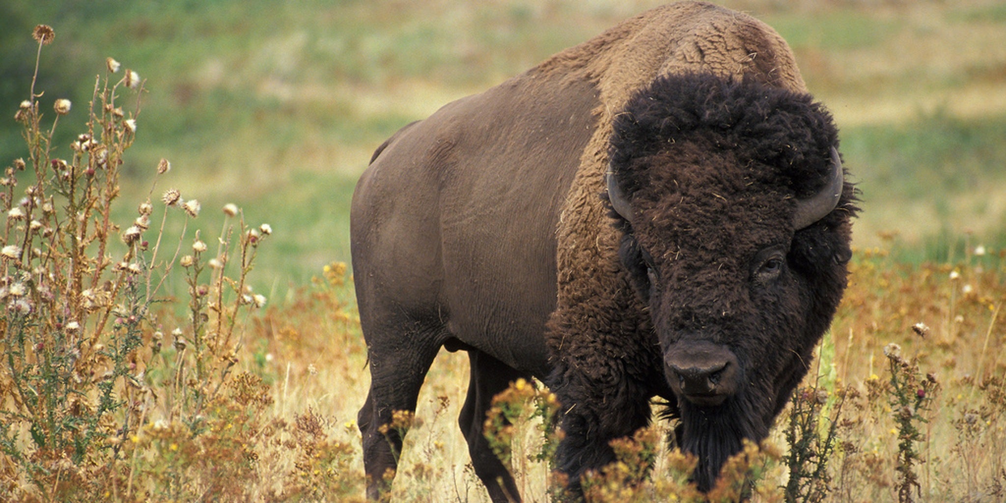 Homepage article image