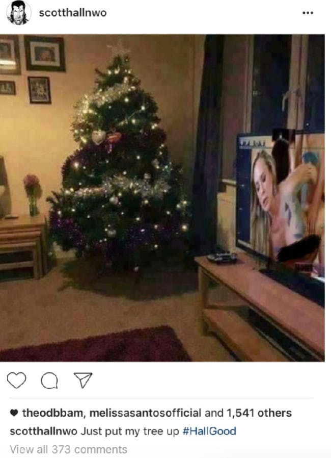 Wwe Eve Porn - Former WWE Star Posts Christmas Tree Photo, Fails to Crop Out the Porn He  Was Watching