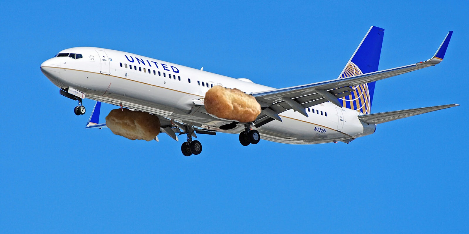 United plane with chicken nugget engines