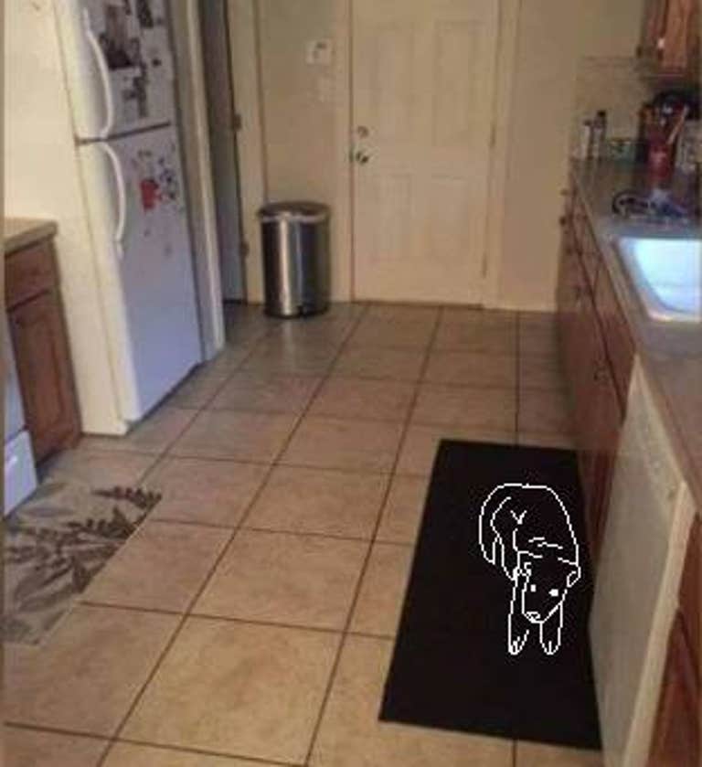 Outline of dog
