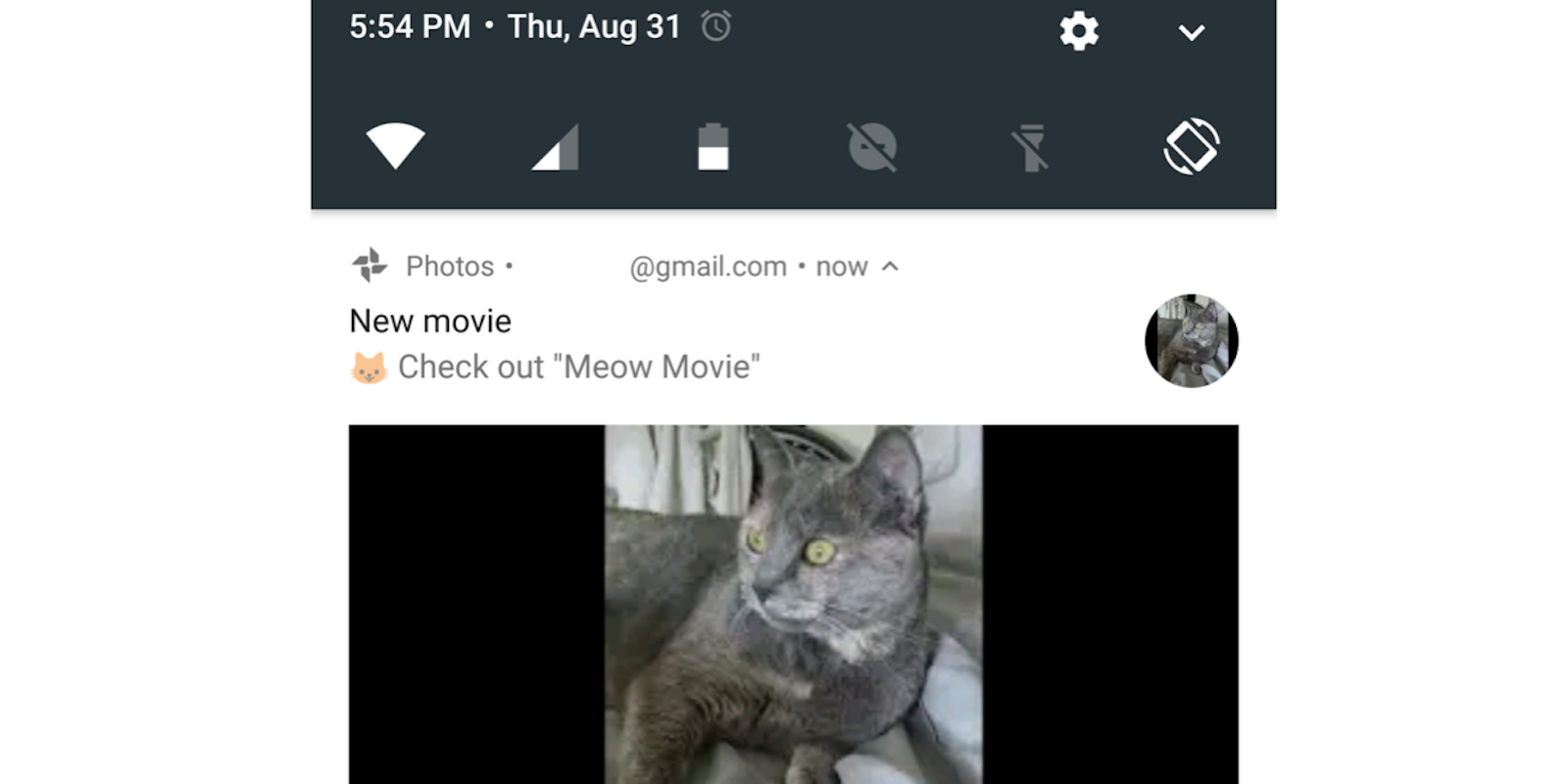 Android notification menu with photo of gray cat