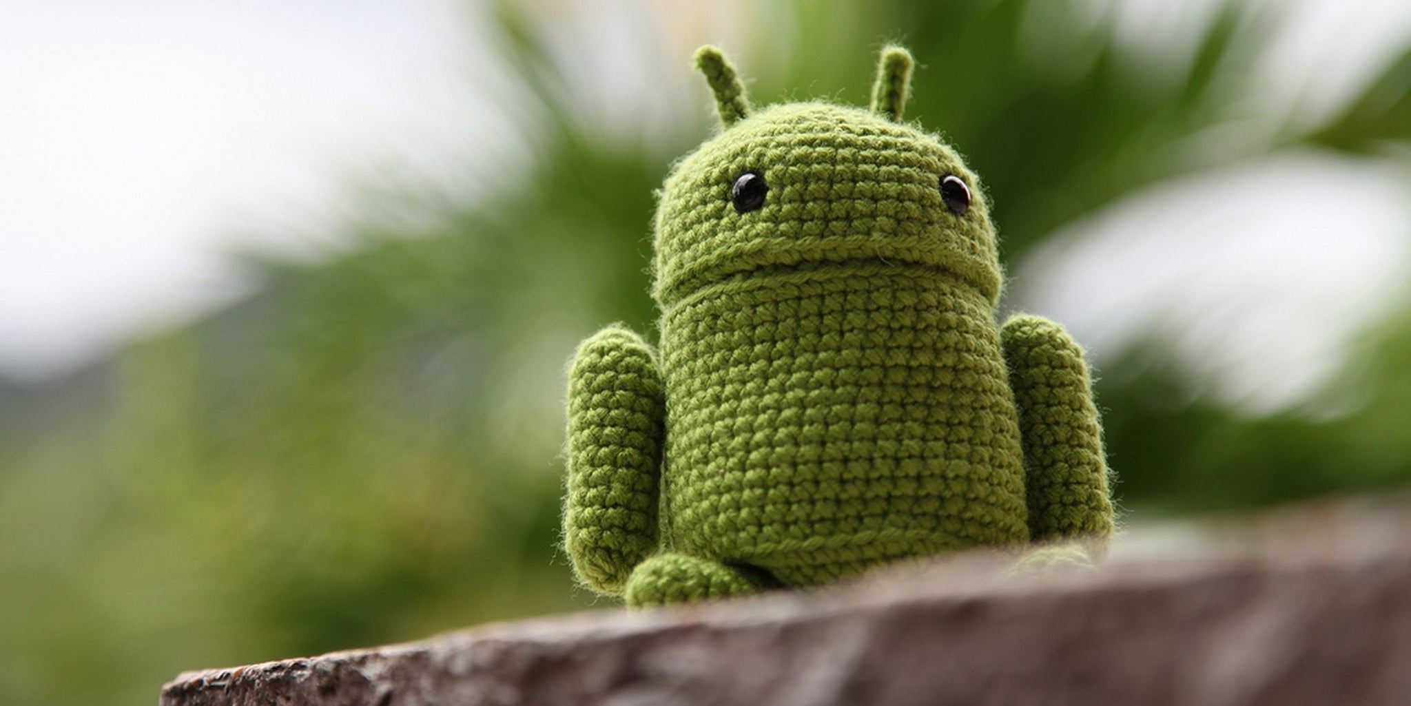 Homepage article image