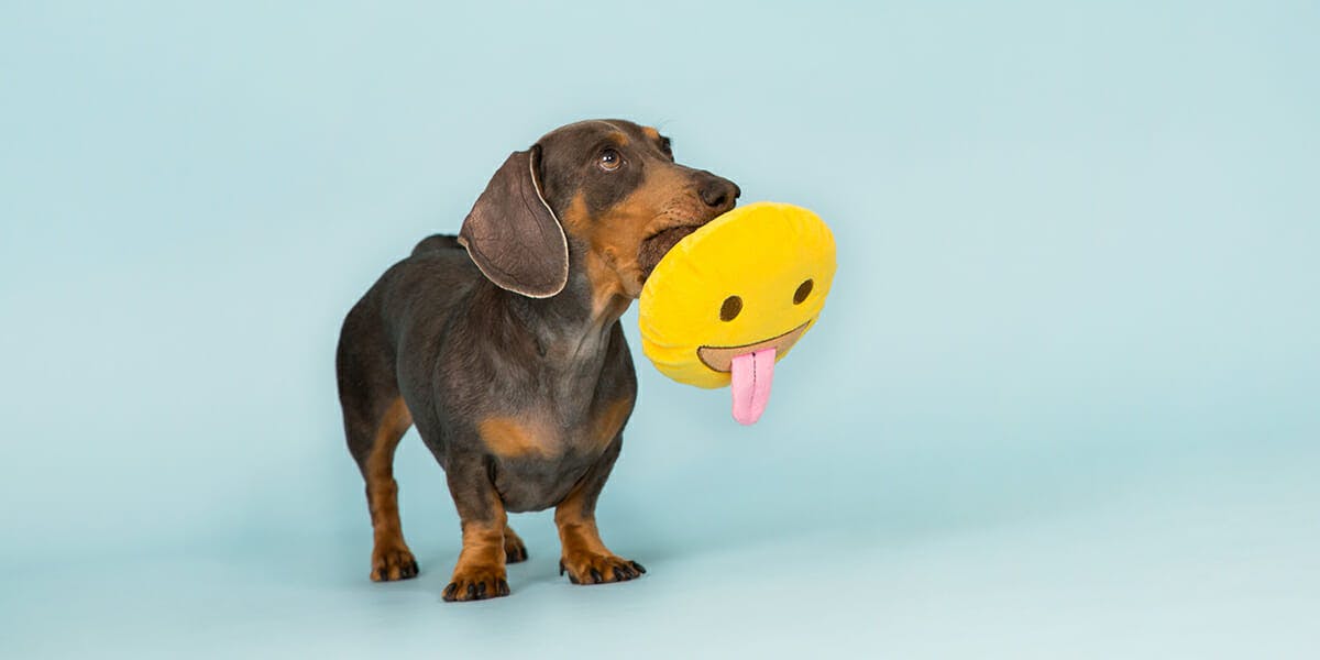 barkshop dog toys emoji
