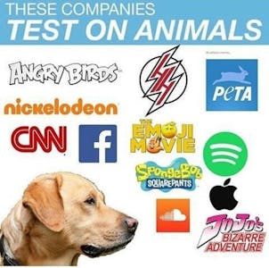 companies test on animals meme