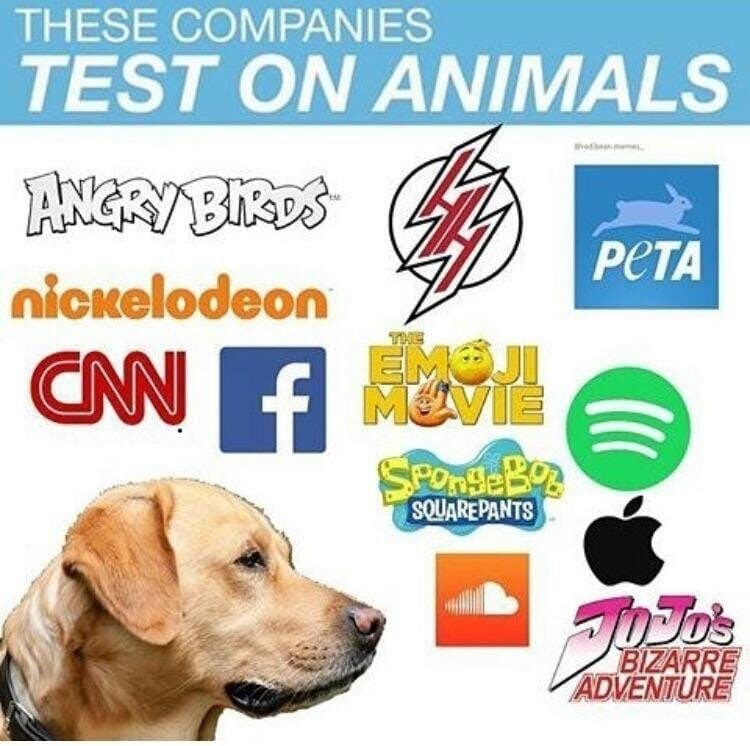 these companies test on animals meme