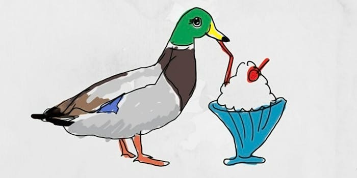 Macquarie illustration of a duck drinking a milkshake