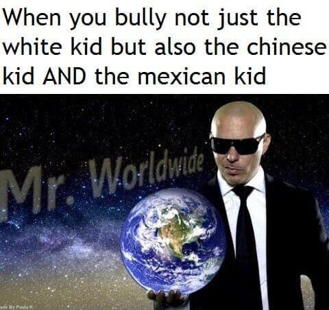 bullying mr worldwide meme