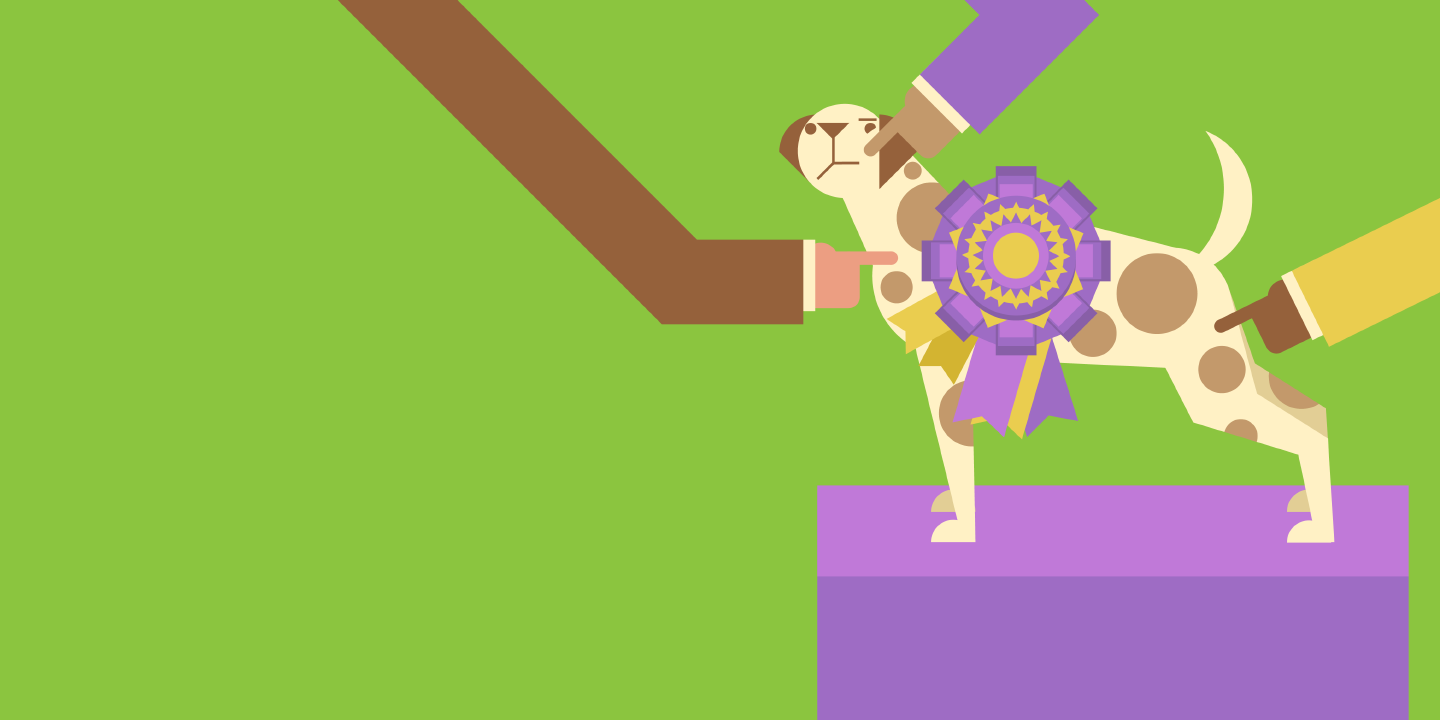 An illustrated look at Westminster Dog Show's top dogs