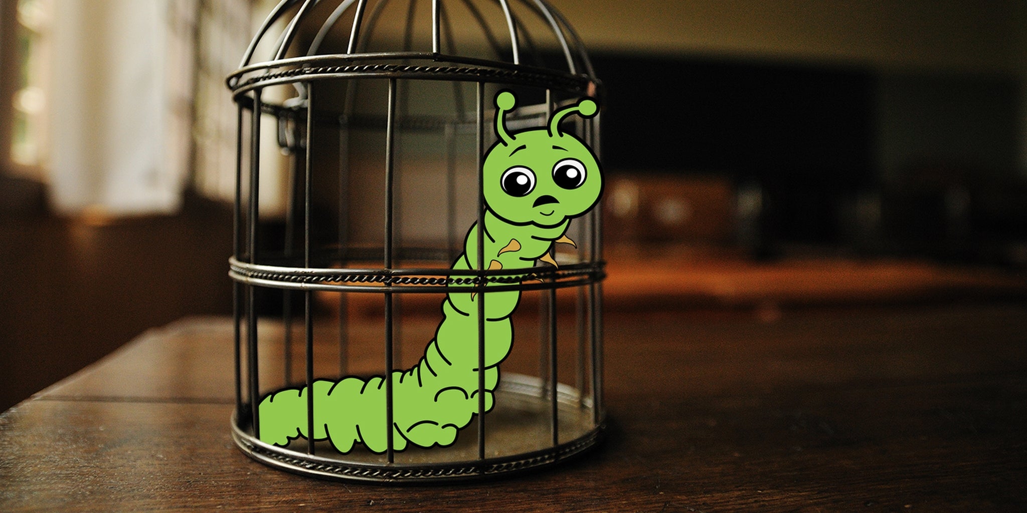 Homepage article image