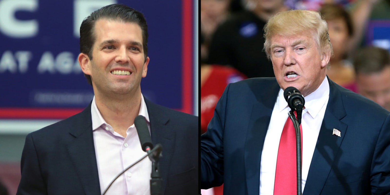 Members of President Donald Trump's campaign–including Trump and his son Donald Trump Jr.–were sent an email in September 2016 with a link to a website with hacked Wikileaks documents and decryption key, according to a new report.