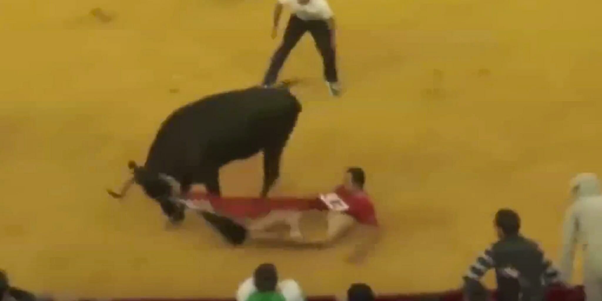 Homepage article image