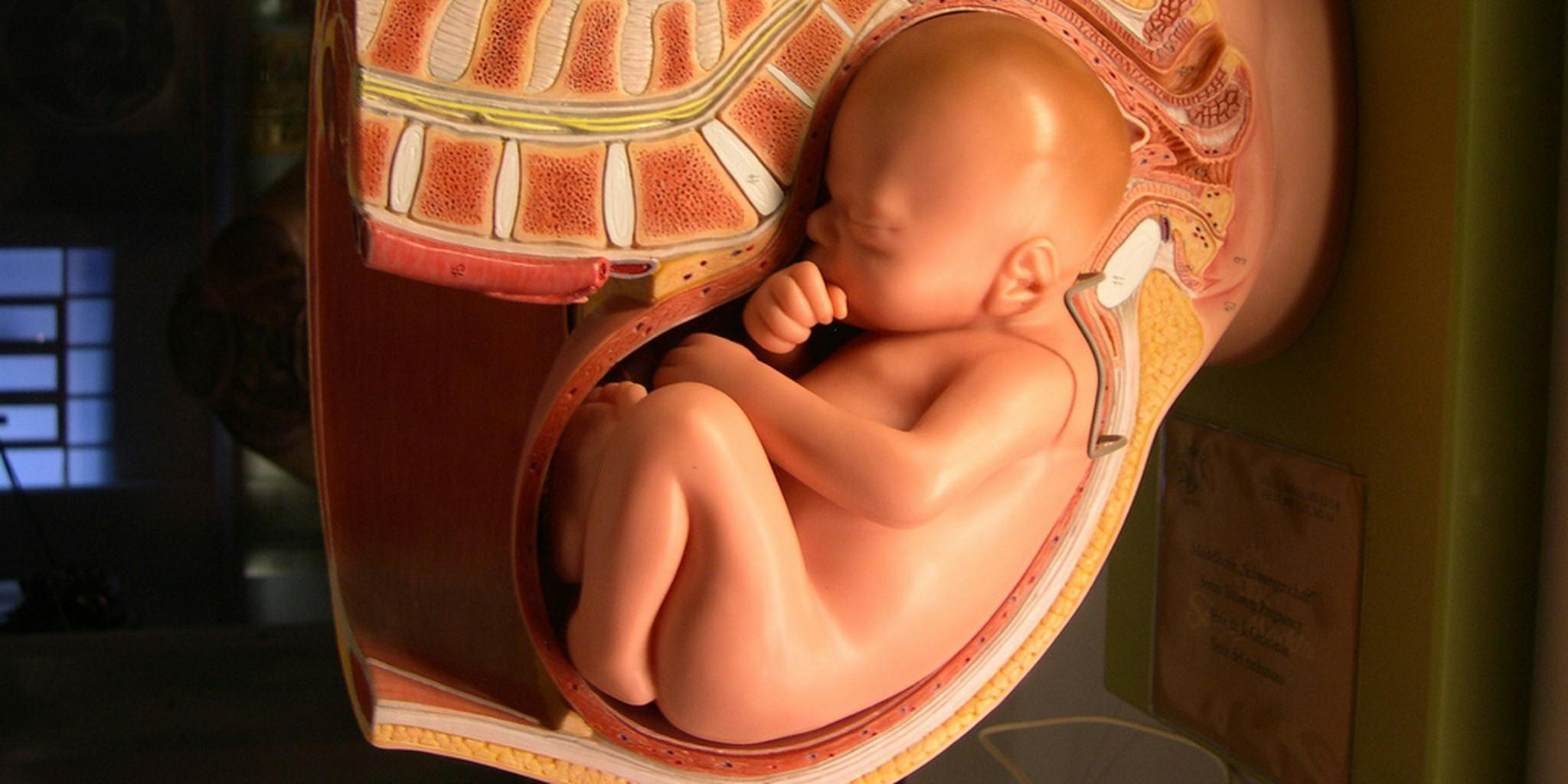 Blind parents can finally 'see' their unborn babies, thanks to 3D printing Поиск картинок