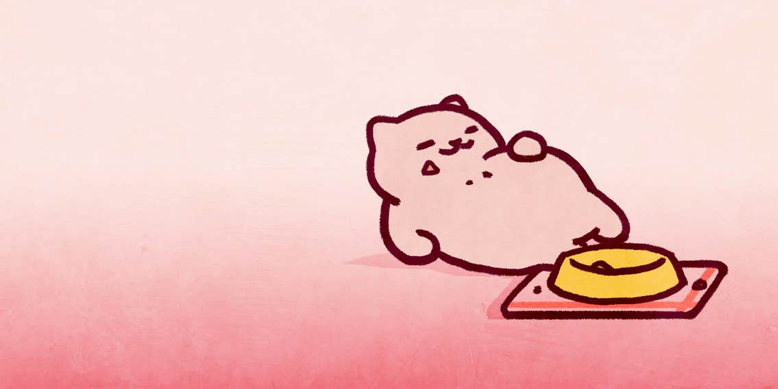 Neko Atsume Guide How to Get All the Cats