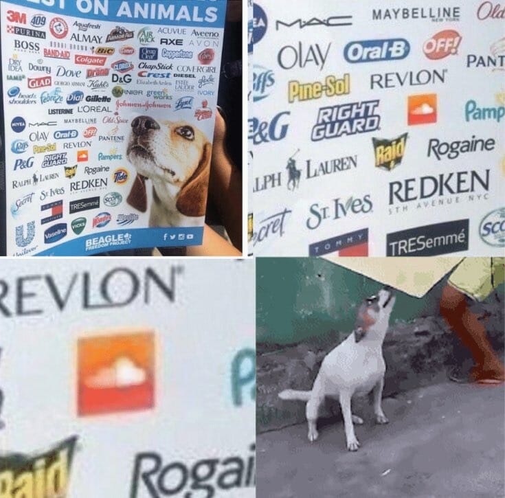 these companies test on animals meme