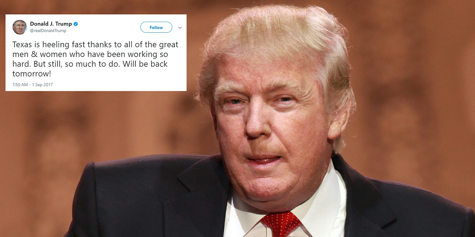 Donald Trump can't spell 'heal'