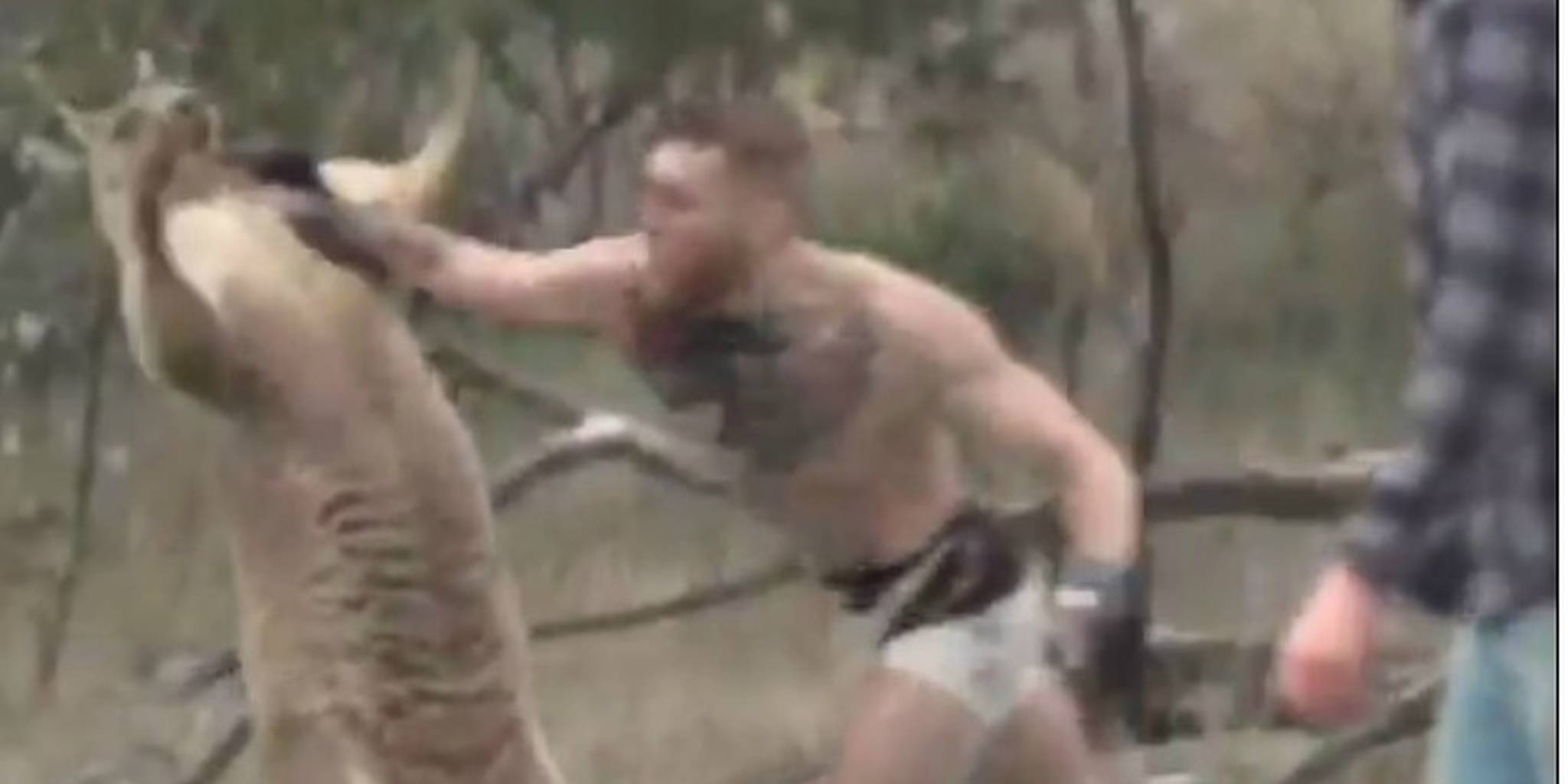 Homepage article image