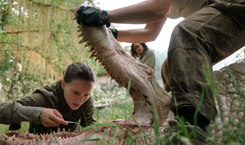 annihilation review