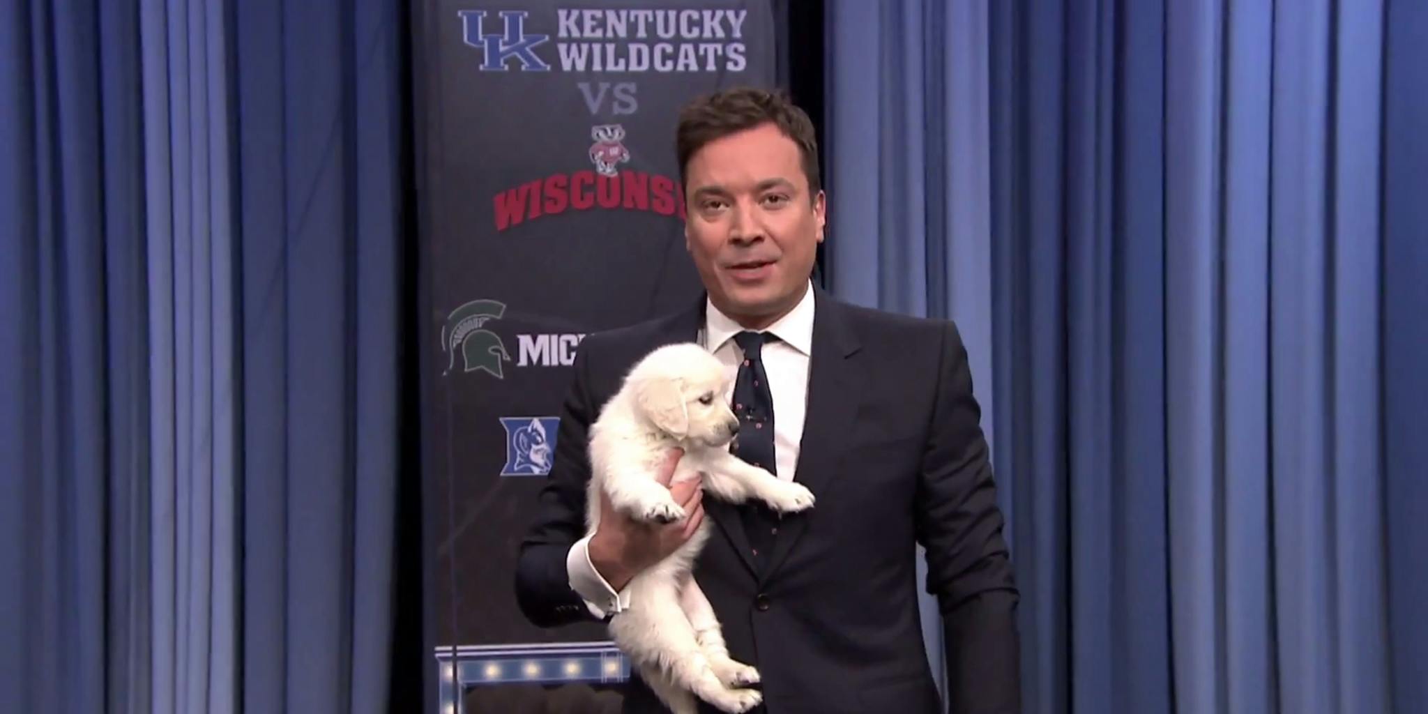 Jimmy Fallon got puppies to predict who will win March Madness The