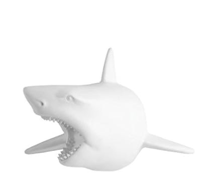 vegan shark taxidermy