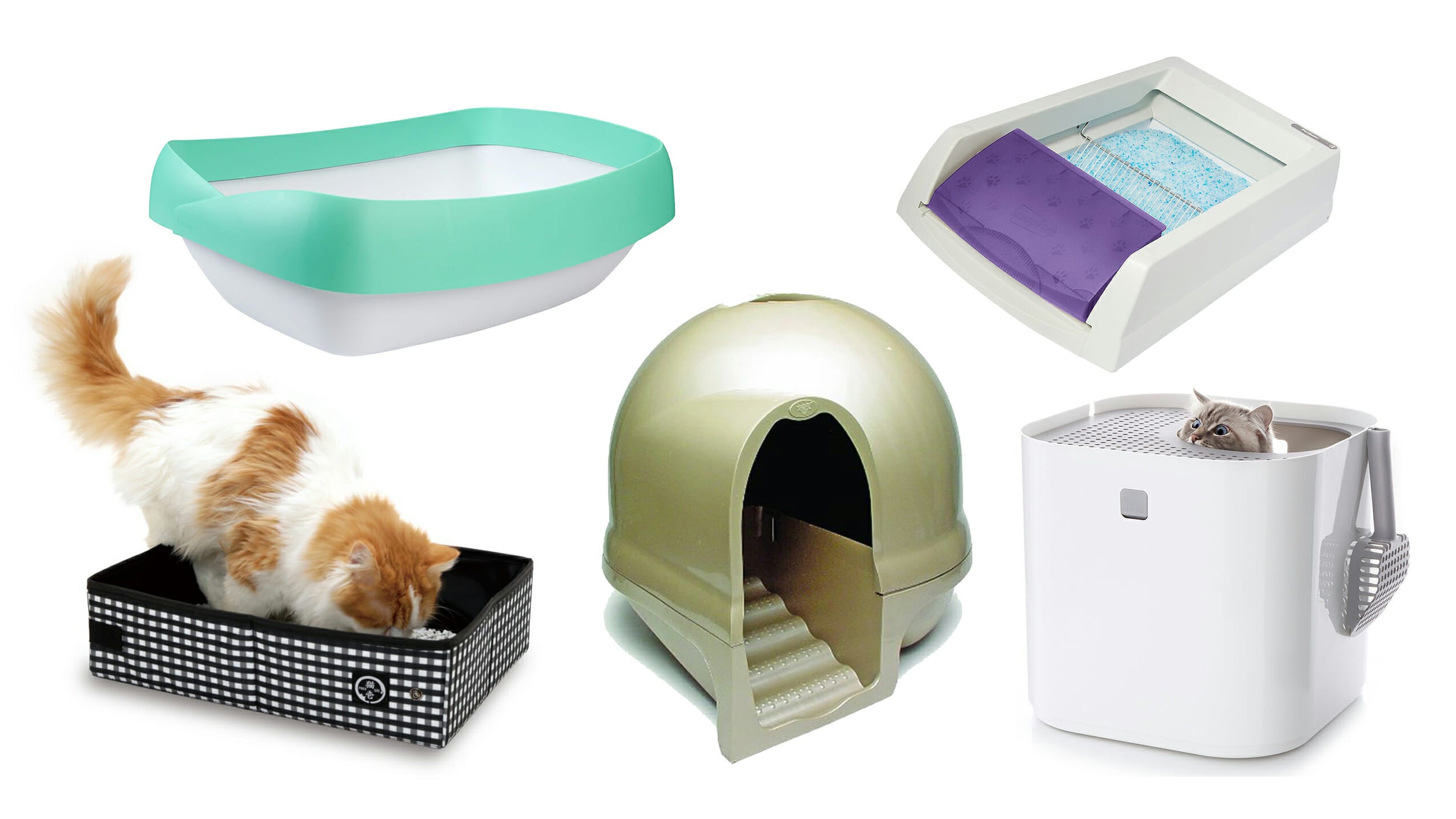 Let your cat poop in style with these 5 ingenious litter boxes