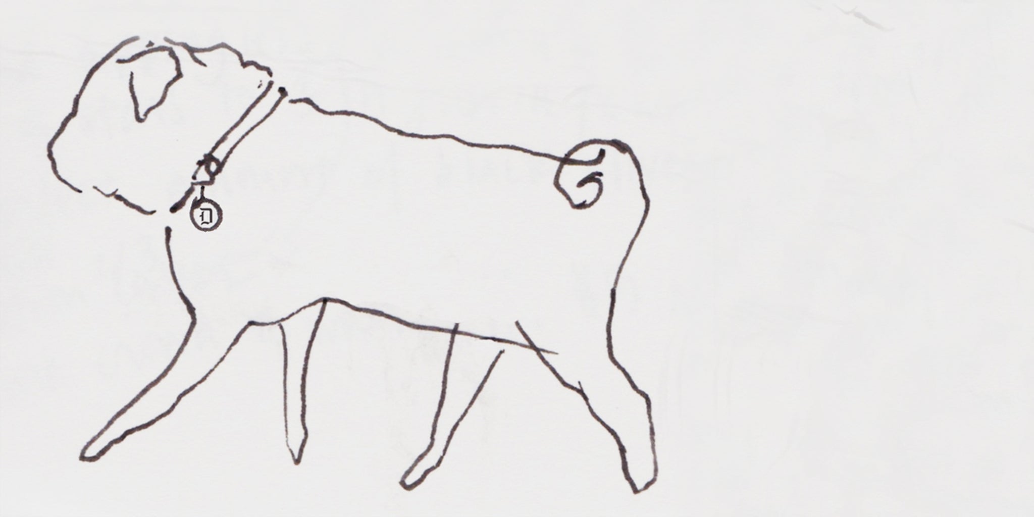 Homepage article image