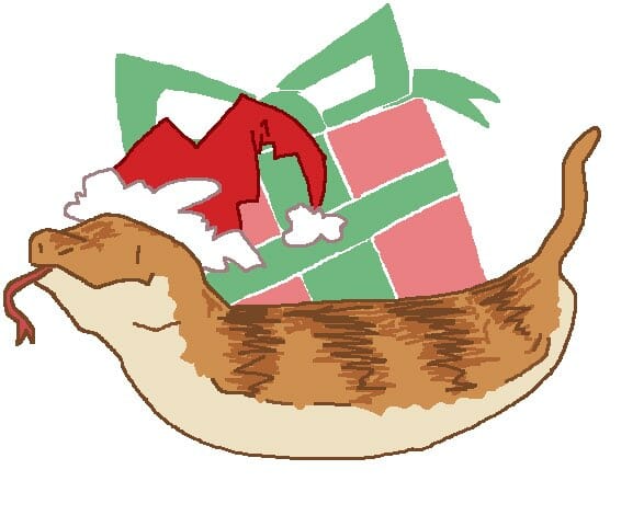 tsuchinoko real christmas fanart