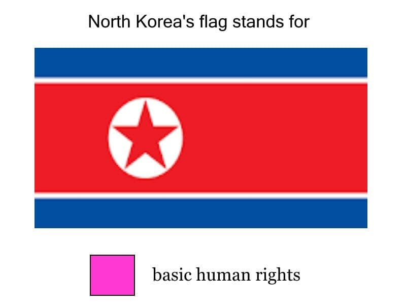 north korea flag meme human rights
