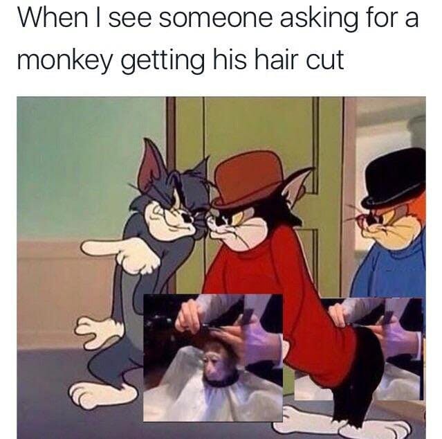 tom and jerry monkey haircut meme