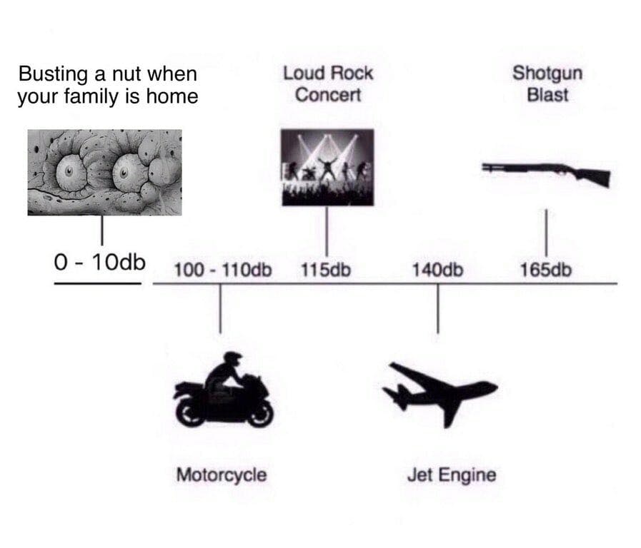busting a nut when family is home sound levels meme