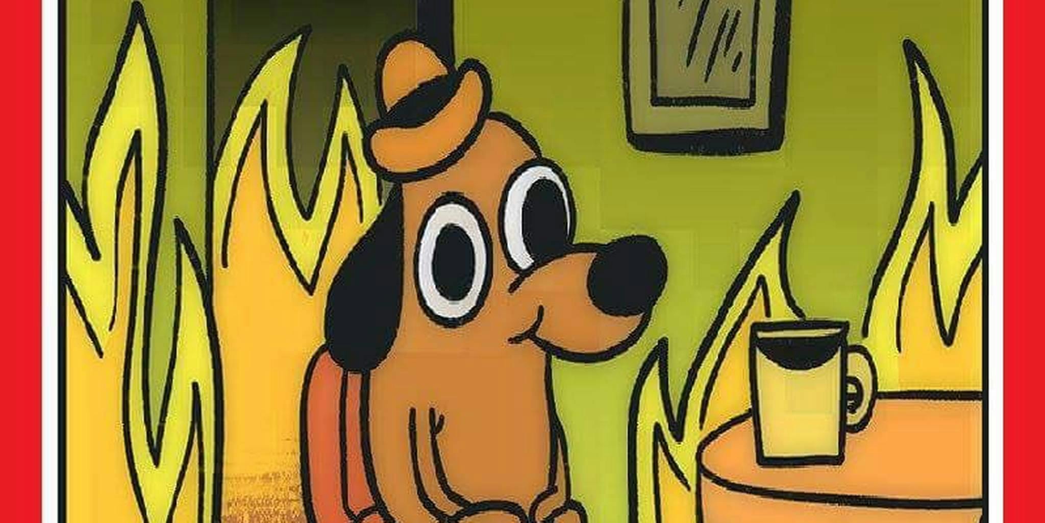 We s fine. Собачка в огне. Желтая собака в огне. Собачка сидящая в горящем доме. Пес в горящем доме.