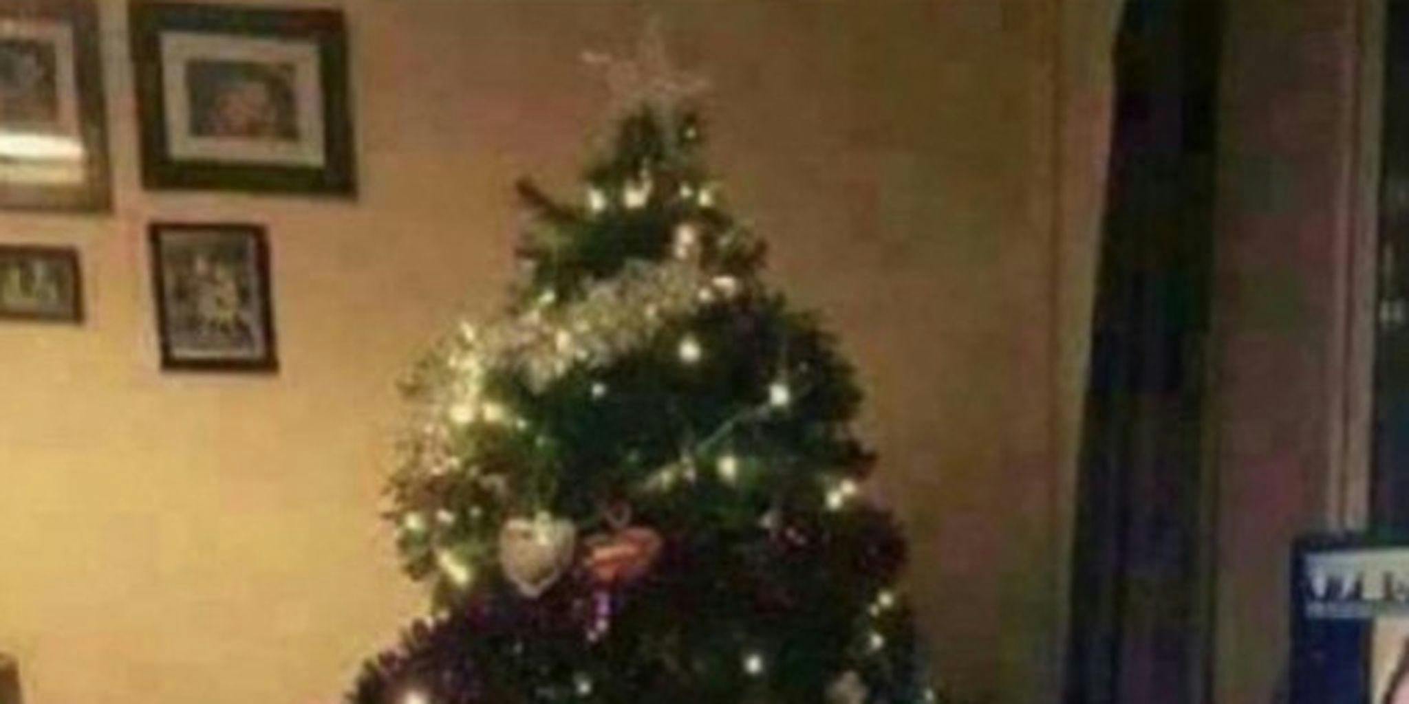 The Christmas Tree Porn - Former WWE Star Posts Christmas Tree Photo, Fails to Crop Out the Porn He  Was Watching
