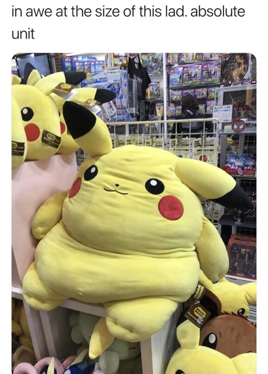 big pikachu absolute unit meme