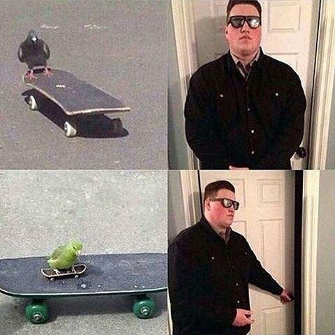Skate  Know Your Meme