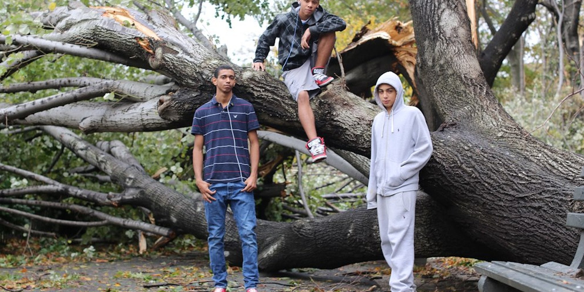 Homepage article image