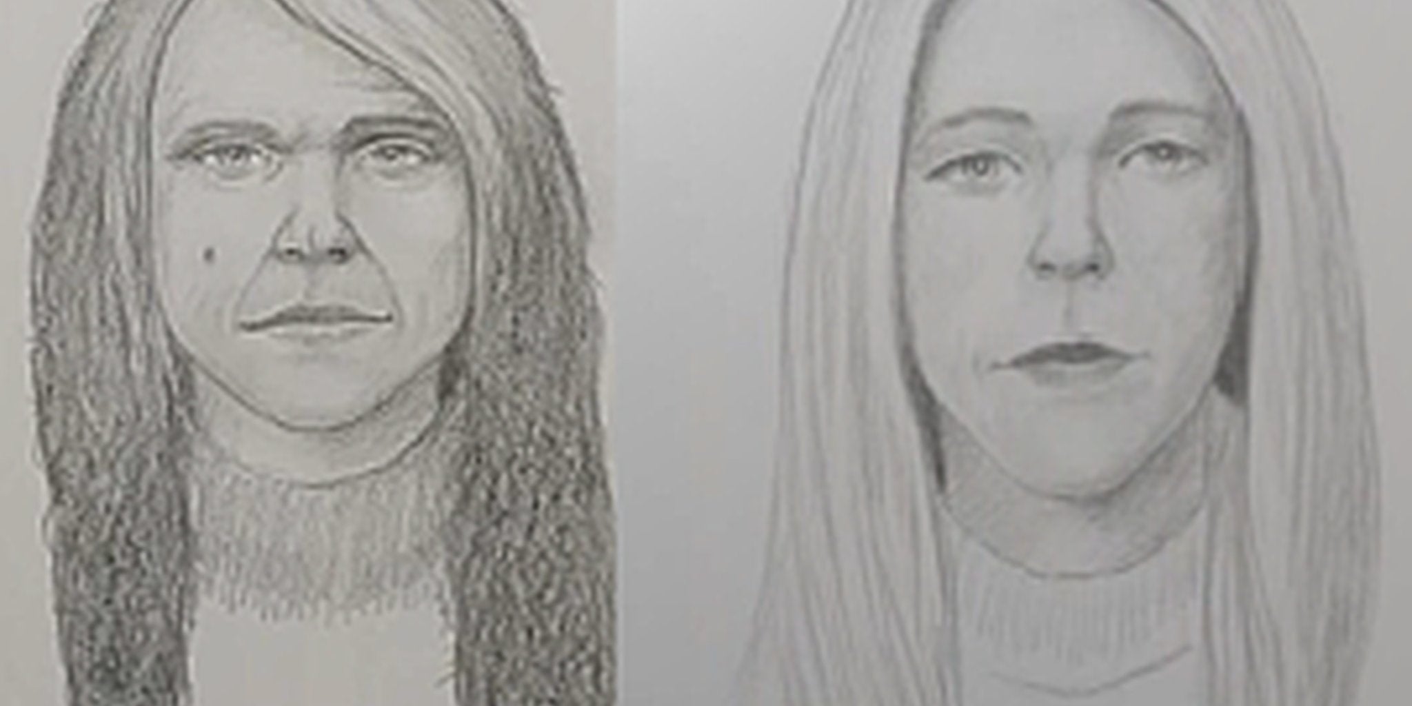 Homepage article image