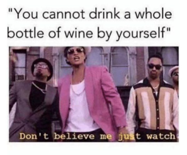 20 Funny Wine Memes if You Love Wine and Need a Drink | Daily Dot