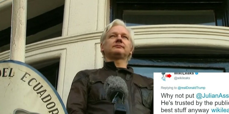 Julian Assange WikiLeaks tweet