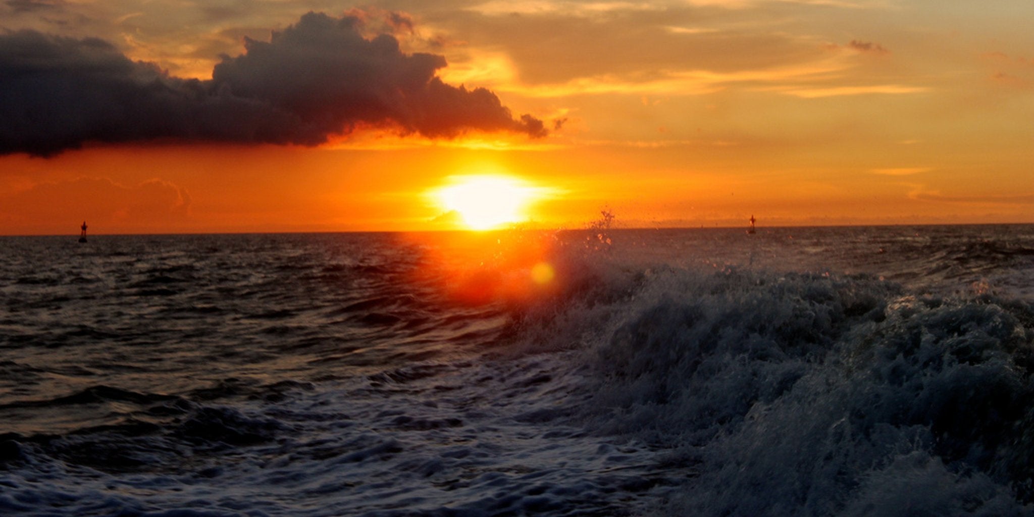 Homepage article image