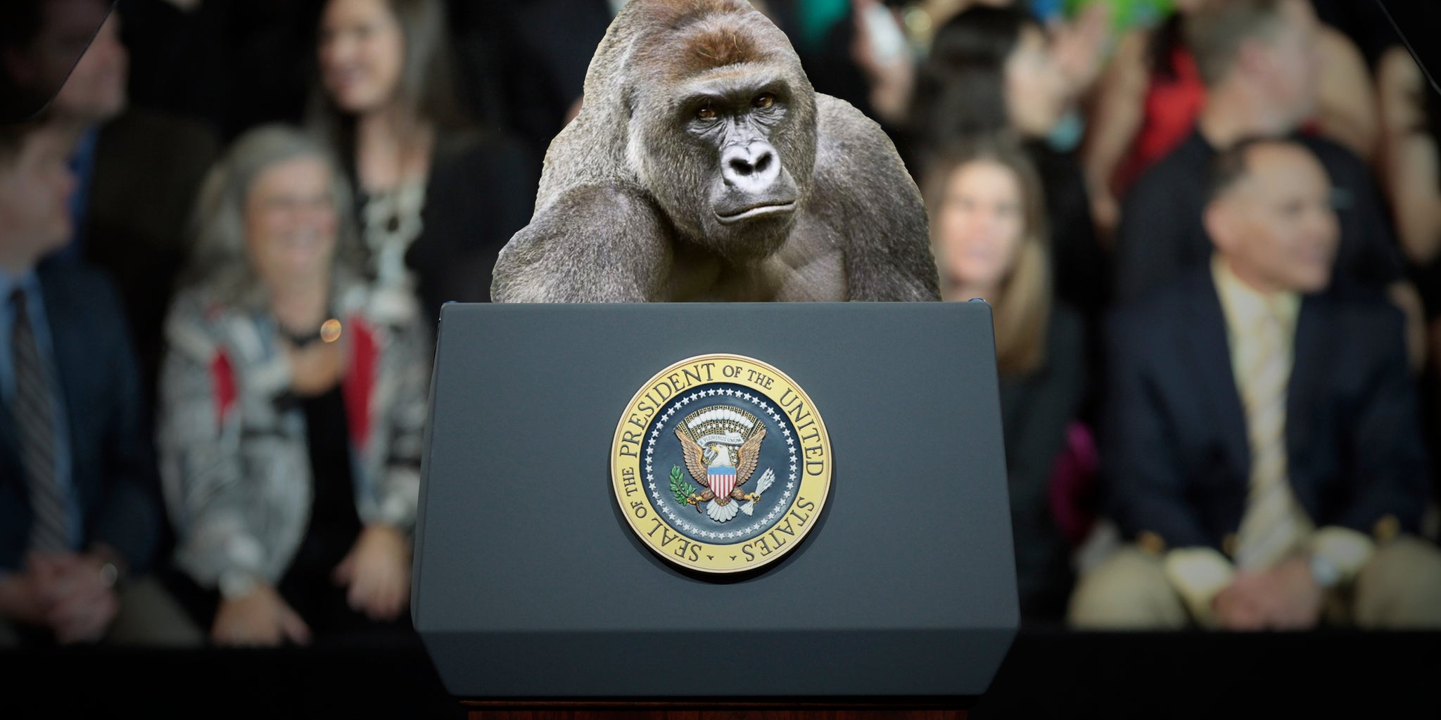 Homepage article image