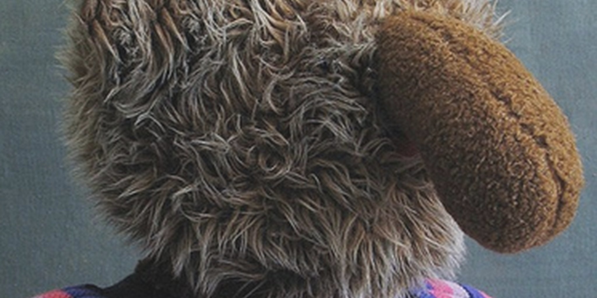 Homepage article image