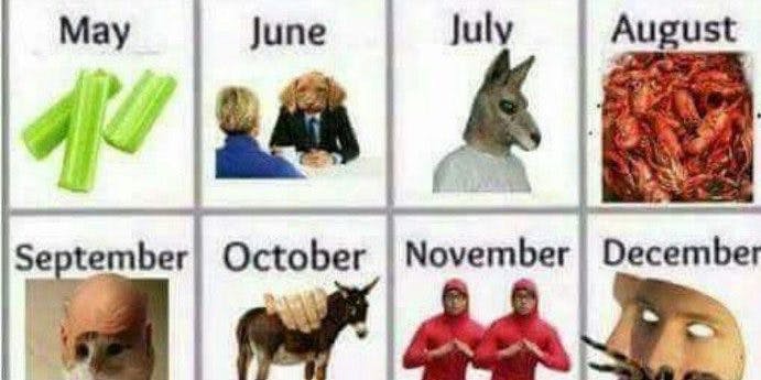 meme calendar for 2017