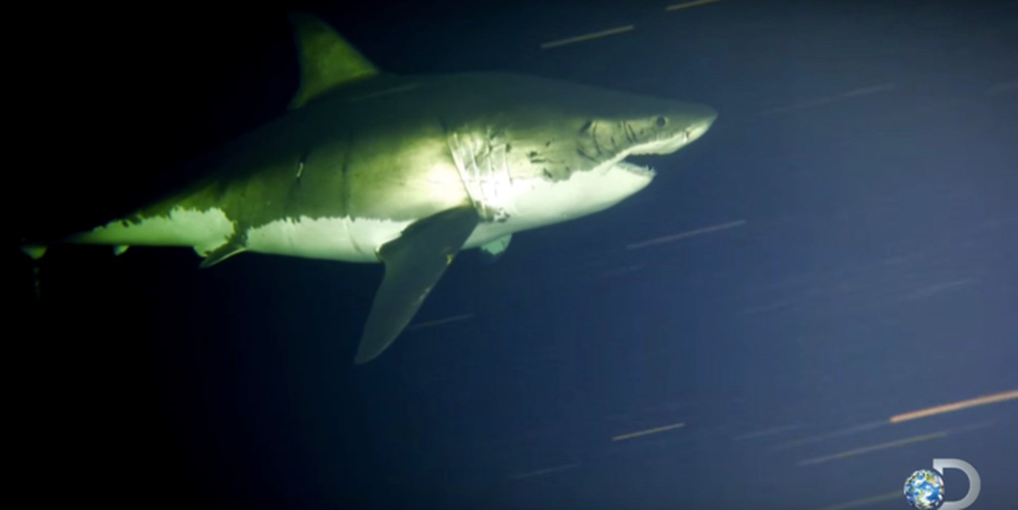 Homepage article image