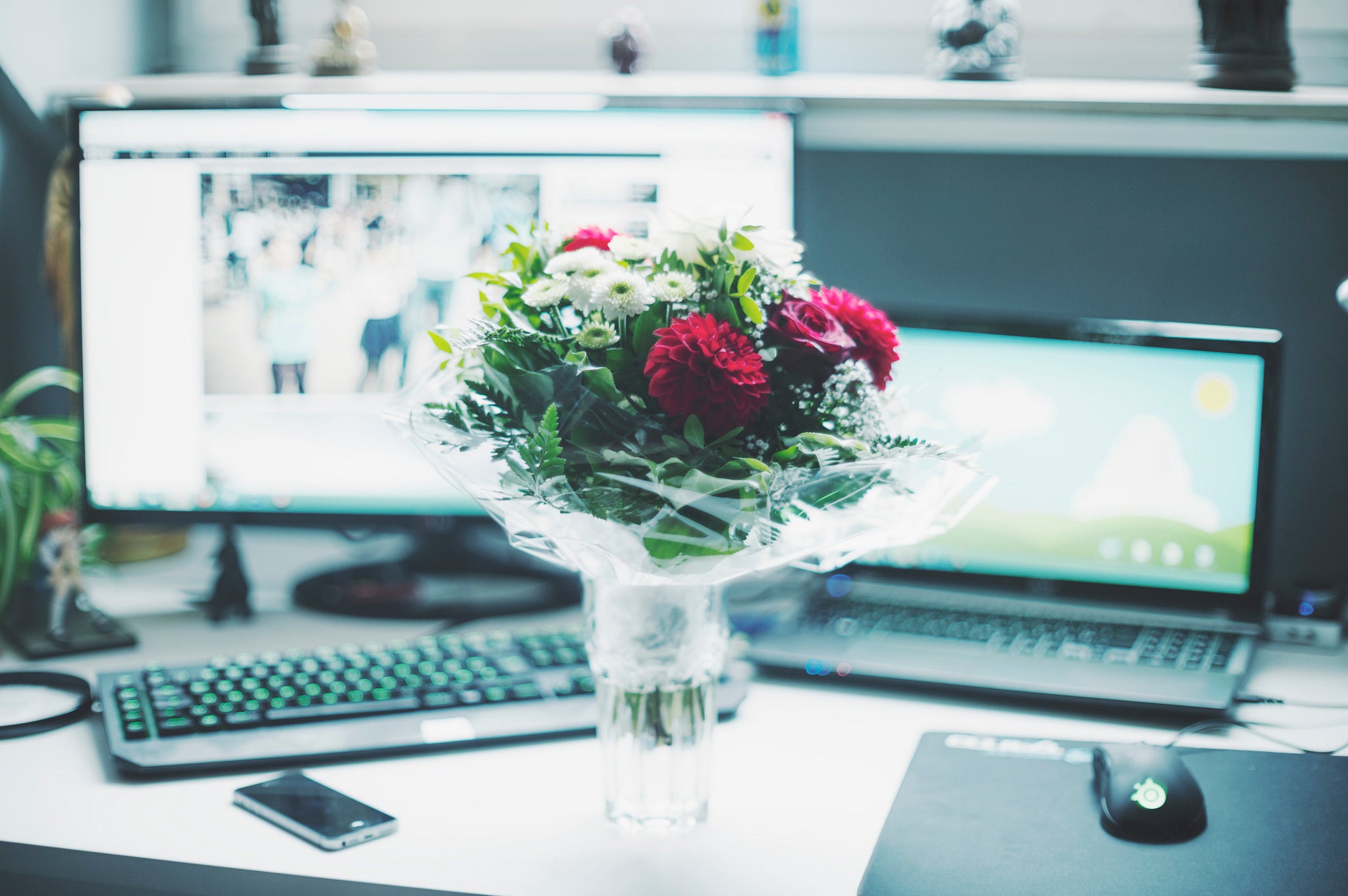 Homepage article image