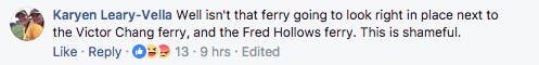 victor chang/fred hollows comment