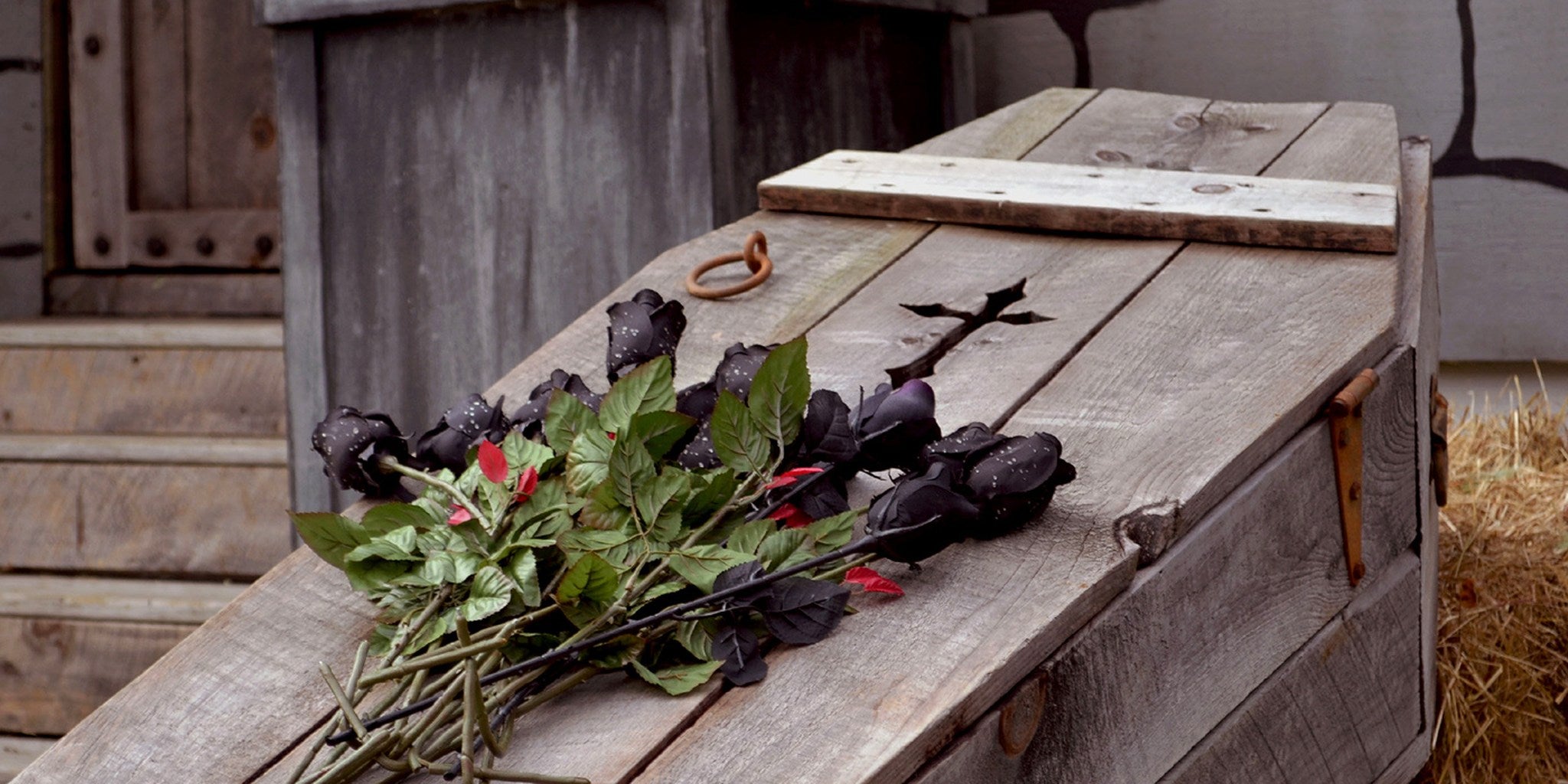 Homepage article image