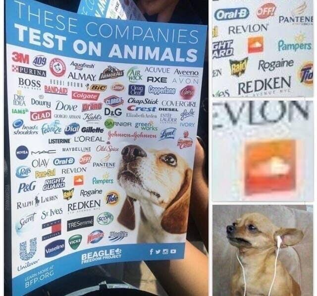 No Animals Were Harmed in the These Companies Test on Animals Meme