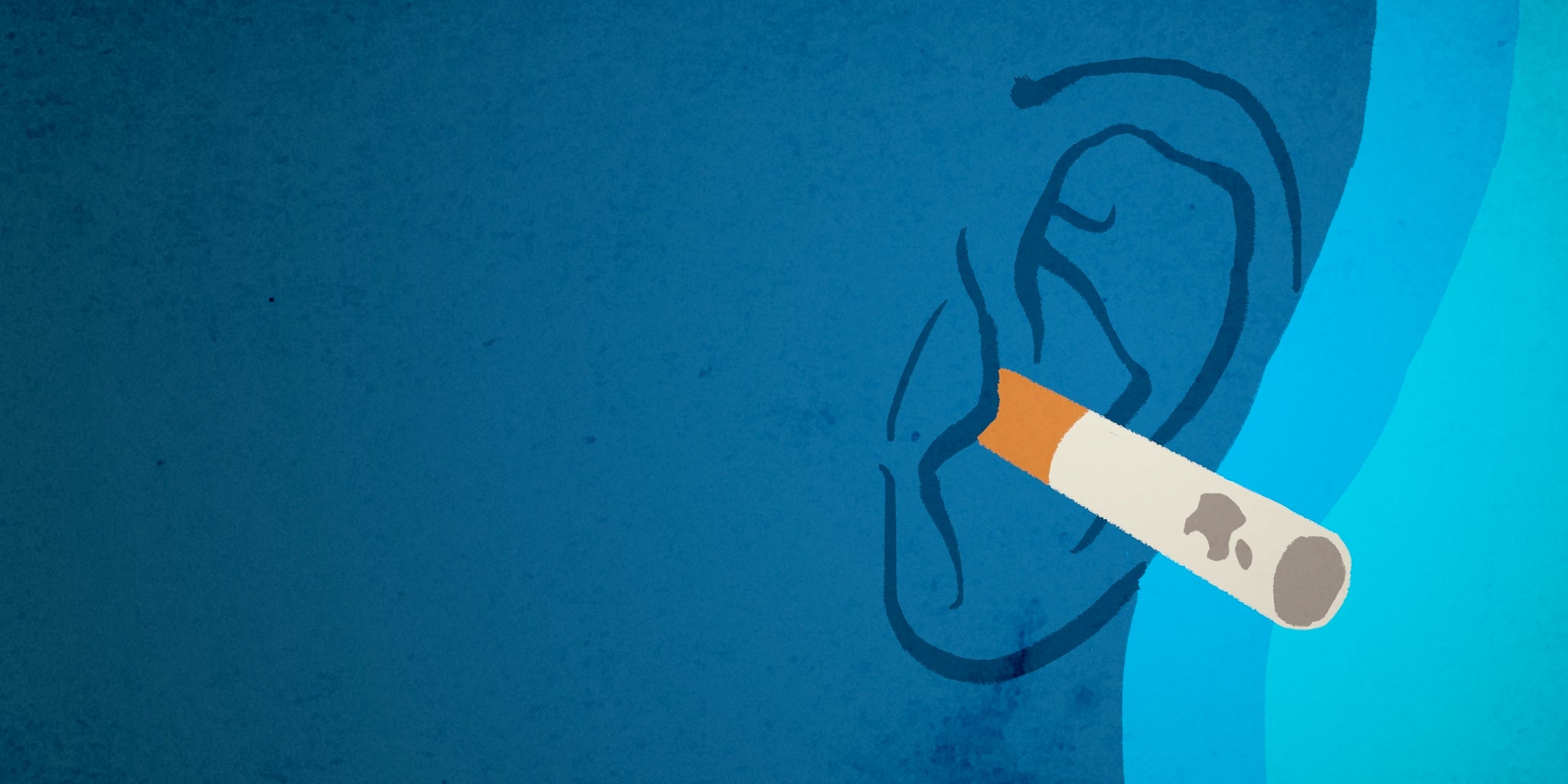 Homepage article image