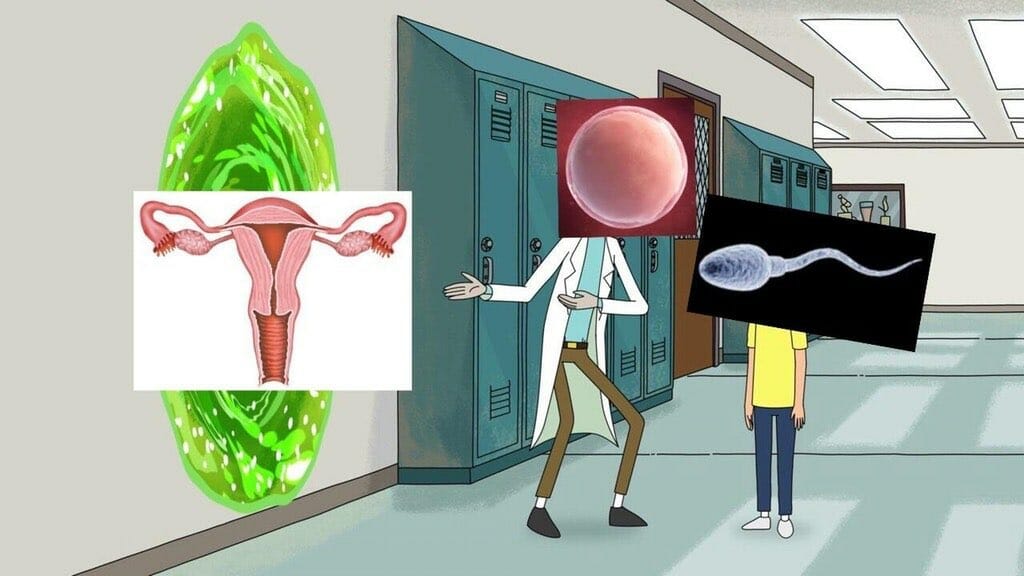 rick and morty sperm egg 20 minute adventure meme